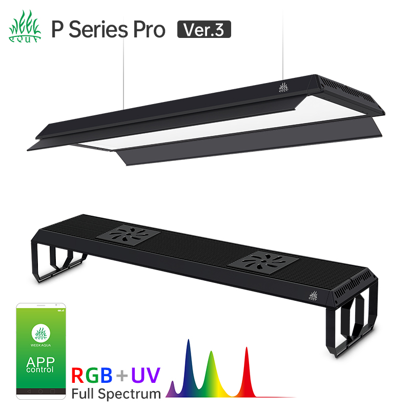 Aquarium Plant On Top - Minggu Seri Aqua P Pro Ver.