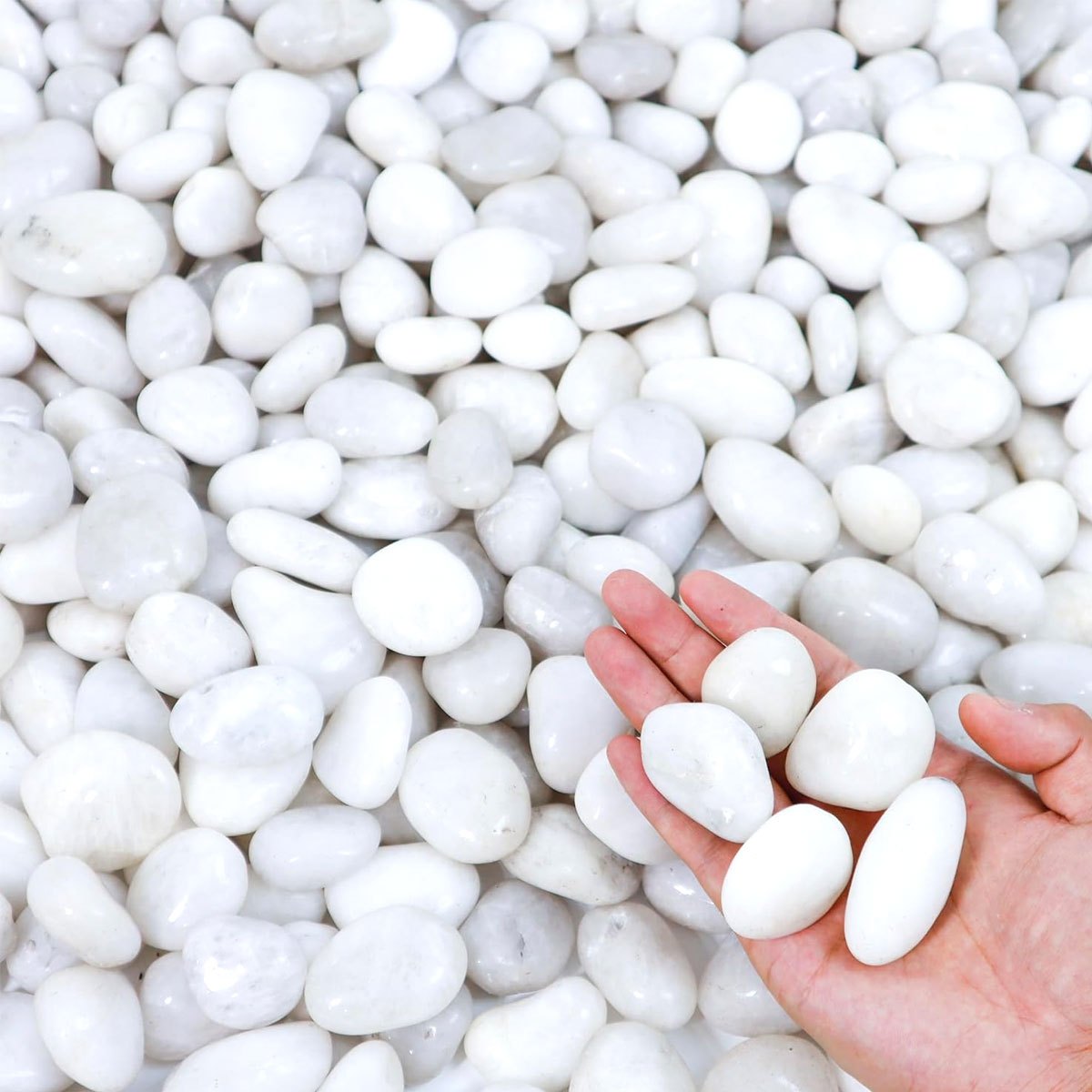 Aquarium Sand White - 400g Kerikil Sungai Alami Poles Putih