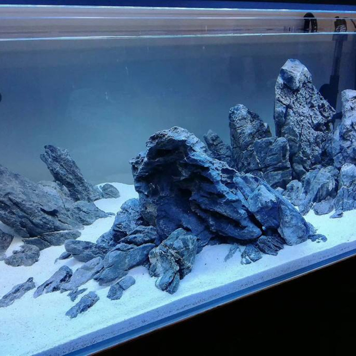 Aquarium Sand White - 500G Pasir Kuarsa Putih untuk Akuarium,
