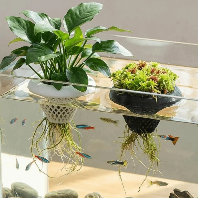 Planted Aquarium Jar - Pot Tanaman Akuarium Mengambang, Penyangga Tanaman