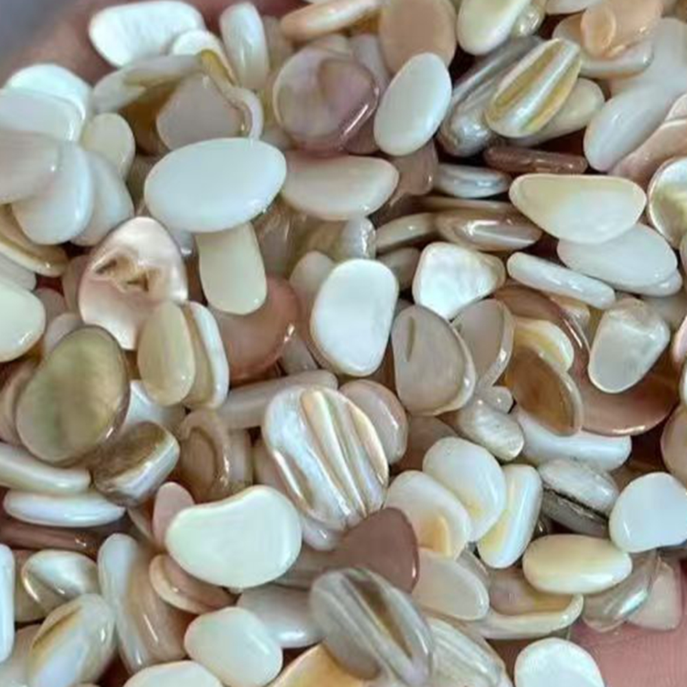 Aquarium Sand White - 50pcs 4-7mm Cangkang Mutiara Alami Putih