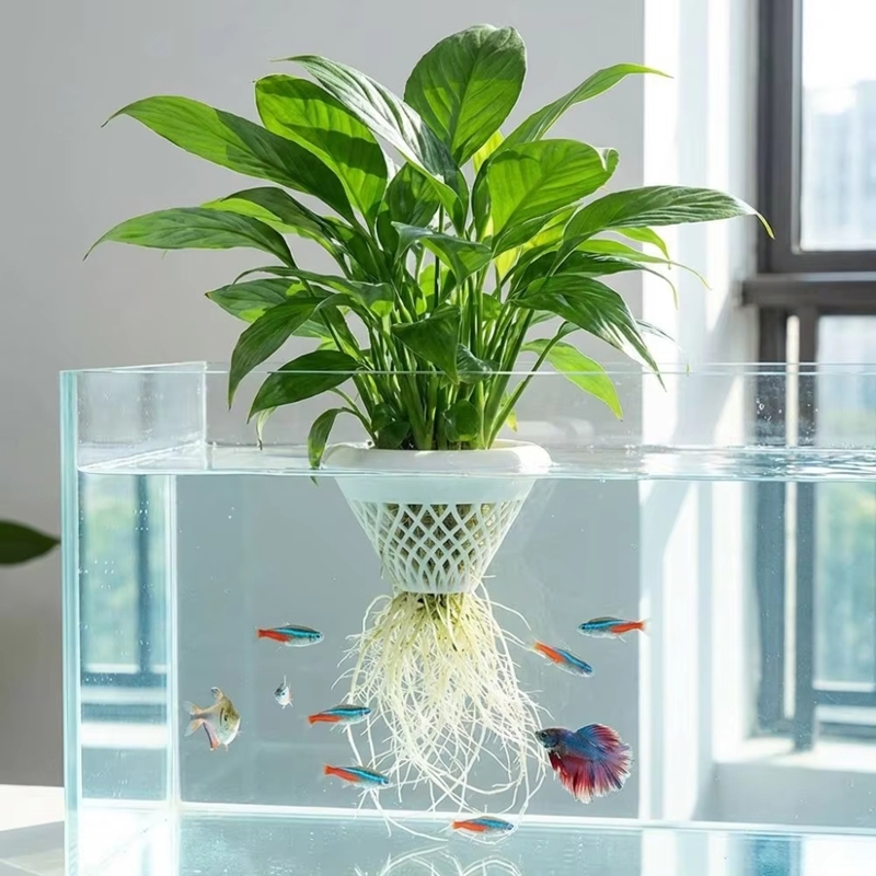 Planted Aquarium Jar - Pot Tanaman Akuarium Mengambang, Penyangga Tanaman