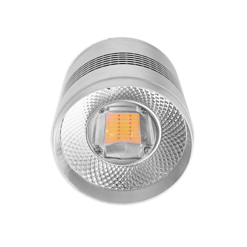 Planted Aquarium Algae Control - Lampu Akuarium LED 70W untuk Tangki