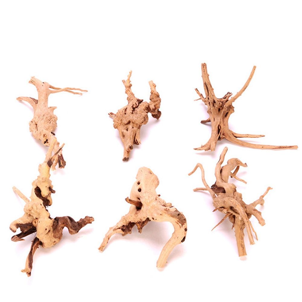 Aquarium Plant Roots - Kayu N1N Dekorasi Akuarium Lanskap Reptil