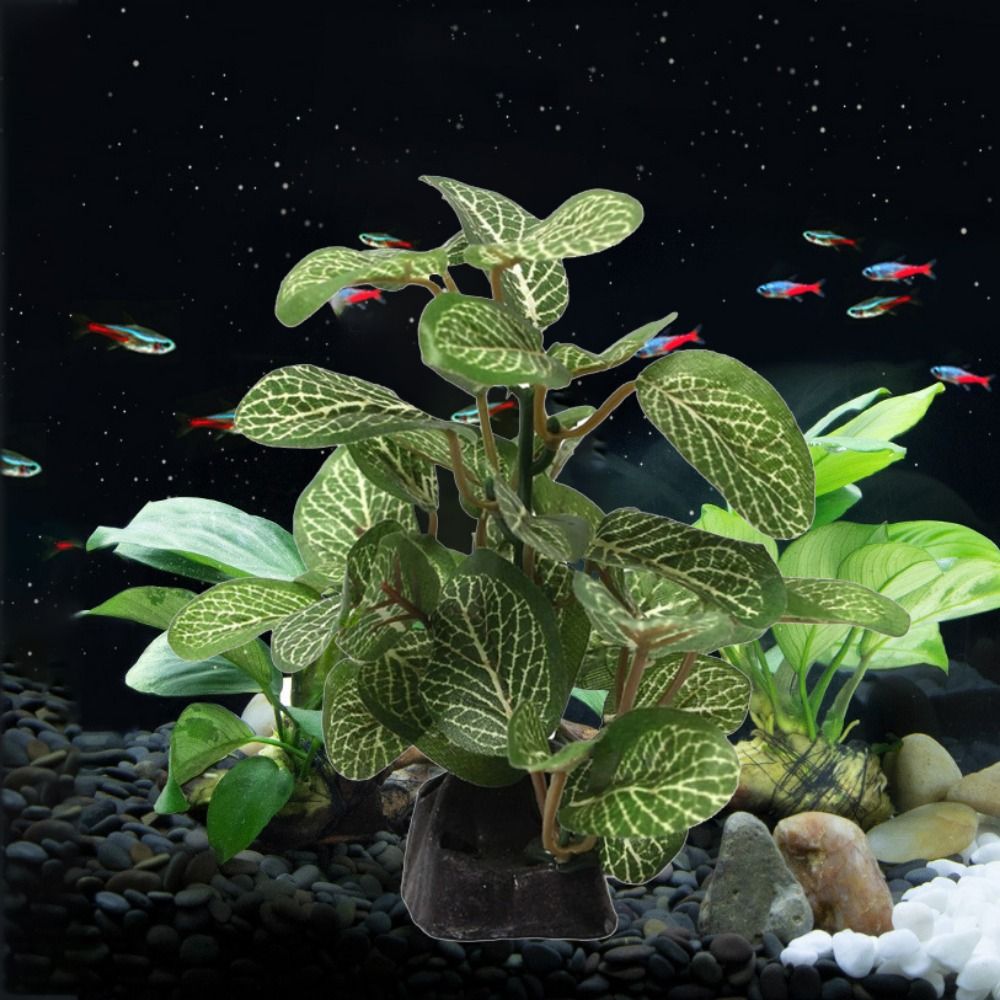 Planted Aquarium Jar - Sutra Dekoratif Bawah Air Realistis untuk