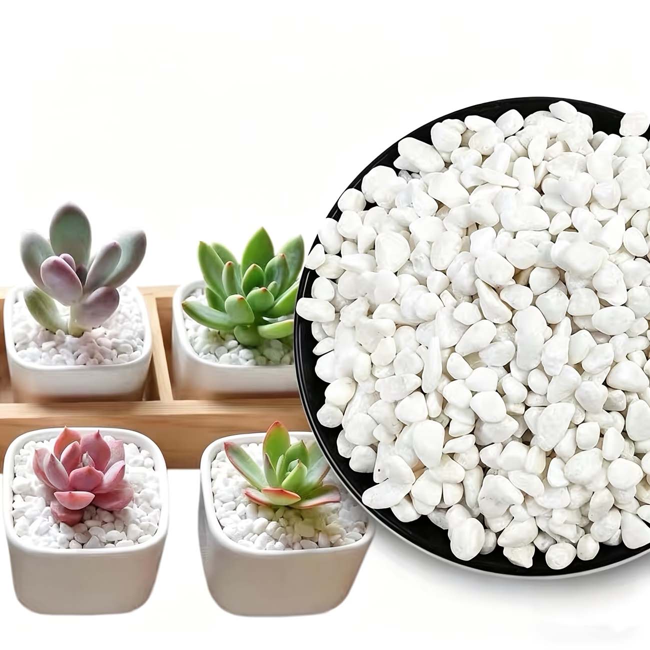 Aquarium Sand White - 100/200G Batu Dekoratif Putih-Sempurna untuk Akuarium,