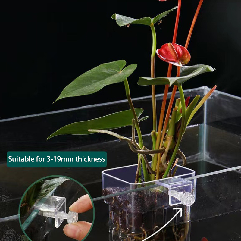 Planted Aquarium With Fish - Akuarium ikan multifungsi cangkir penanaman rumput