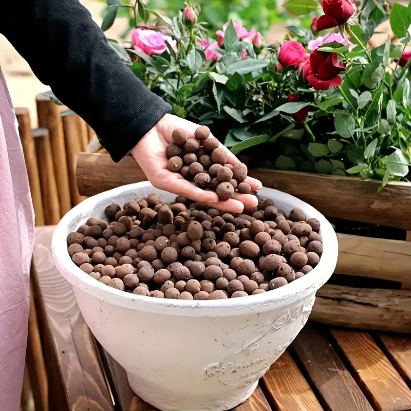 Pelet Terakota Ringan & Bernap - Aquarium Planted Plants ulasan dan harga