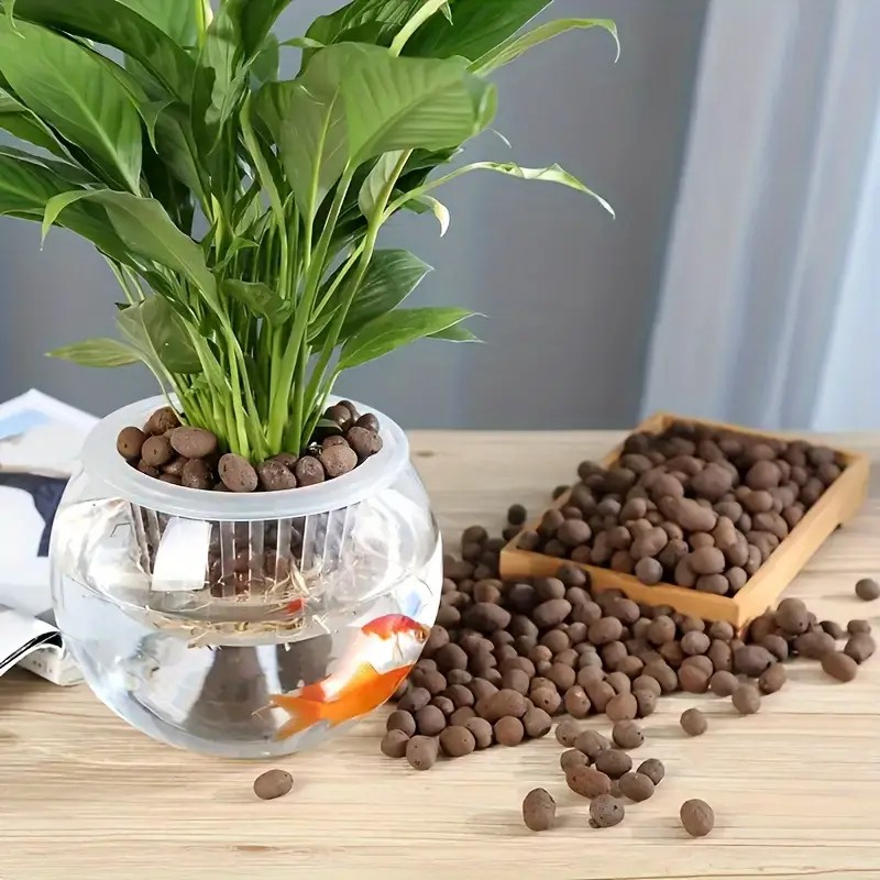 Pelet Terakota Ringan & Bernap - Aquarium Planted Plants ulasan dan harga
