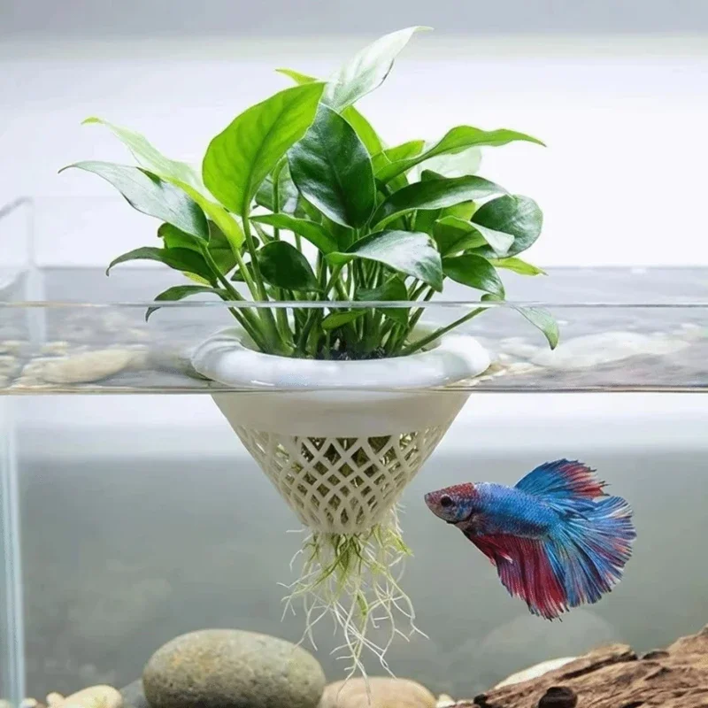 Pot Tanaman Akuarium Mengamban - Planted Aquarium Jar ulasan dan harga