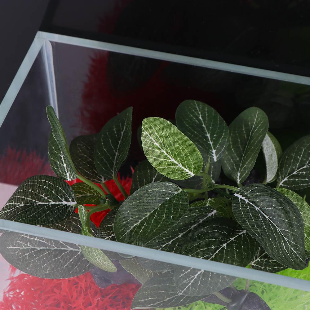 Tanaman Buatan Mirip Asli dari - Planted Aquarium Jar ulasan dan harga