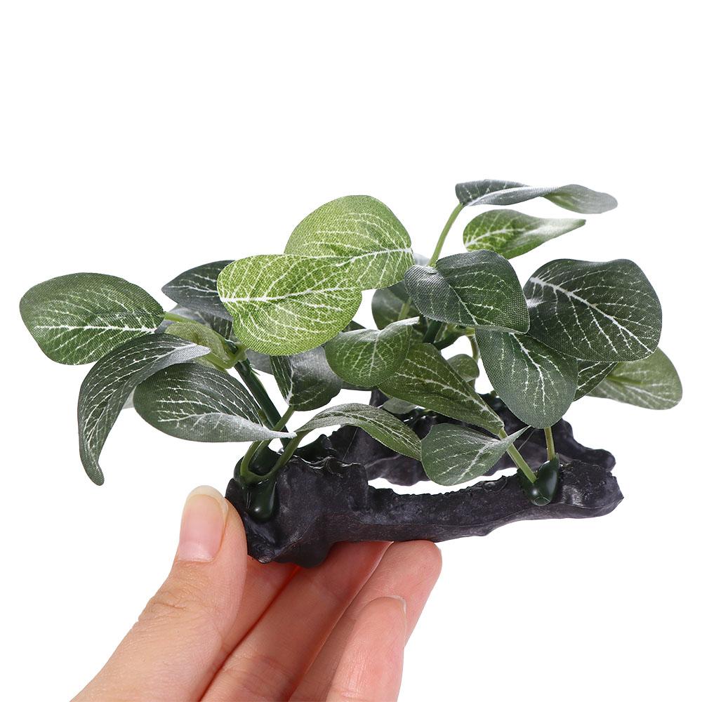 Tanaman Sutra Hijau Kreatif Si - Planted Aquarium Jar ulasan dan harga