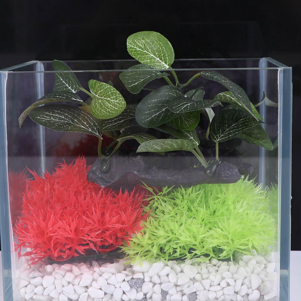 Tanaman Sutra Hijau Kreatif Si - Planted Aquarium Jar ulasan dan harga