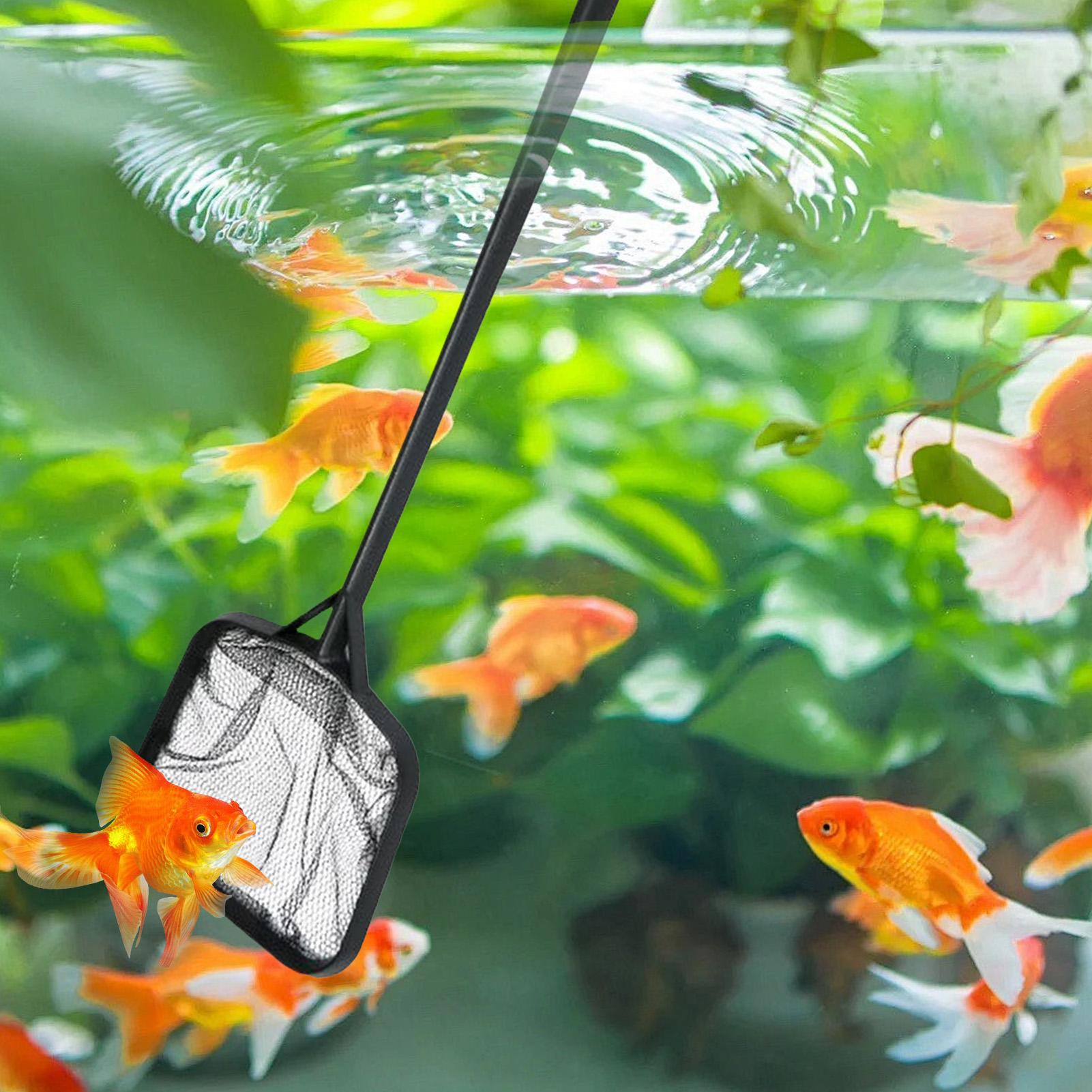 Jaring Kolam Renang untuk Memb - Planted Aquarium Cleaning ulasan dan harga