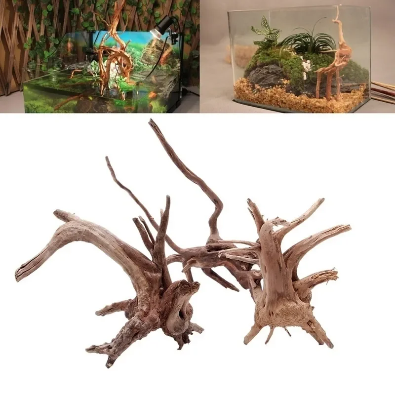 Pohon alami kayu apung akuariu - Aquarium Plant Roots ulasan dan harga