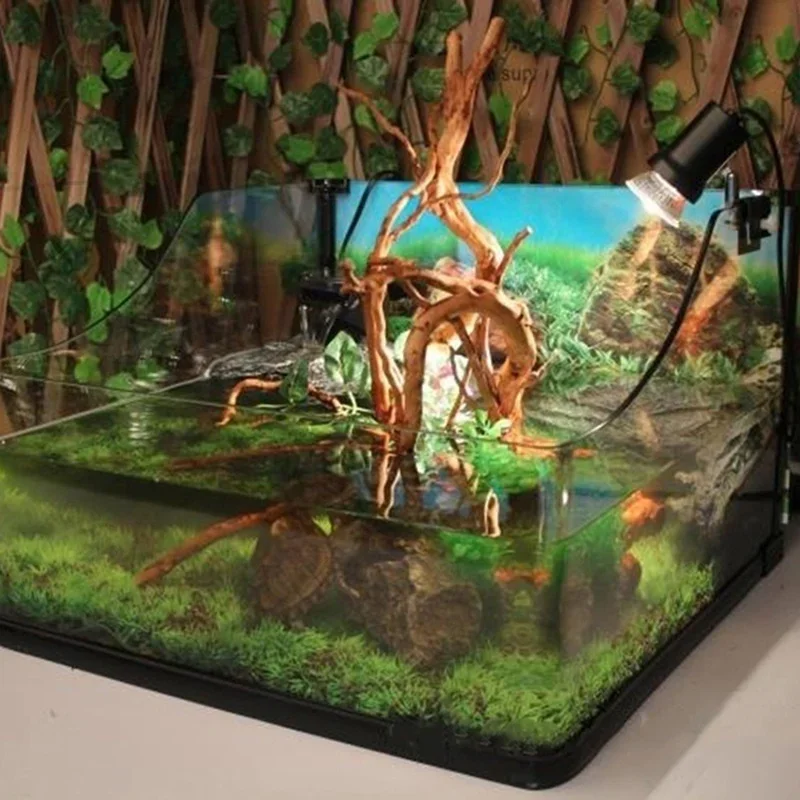 Pohon alami kayu apung akuariu - Aquarium Plant Roots ulasan dan harga