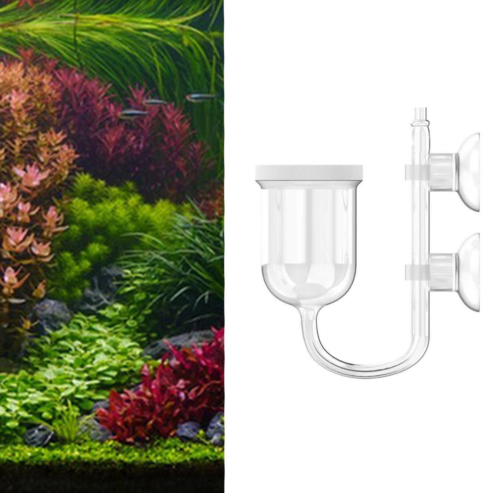 Penghitung Gelembung Terintegr - Planted Aquarium Care ulasan dan harga