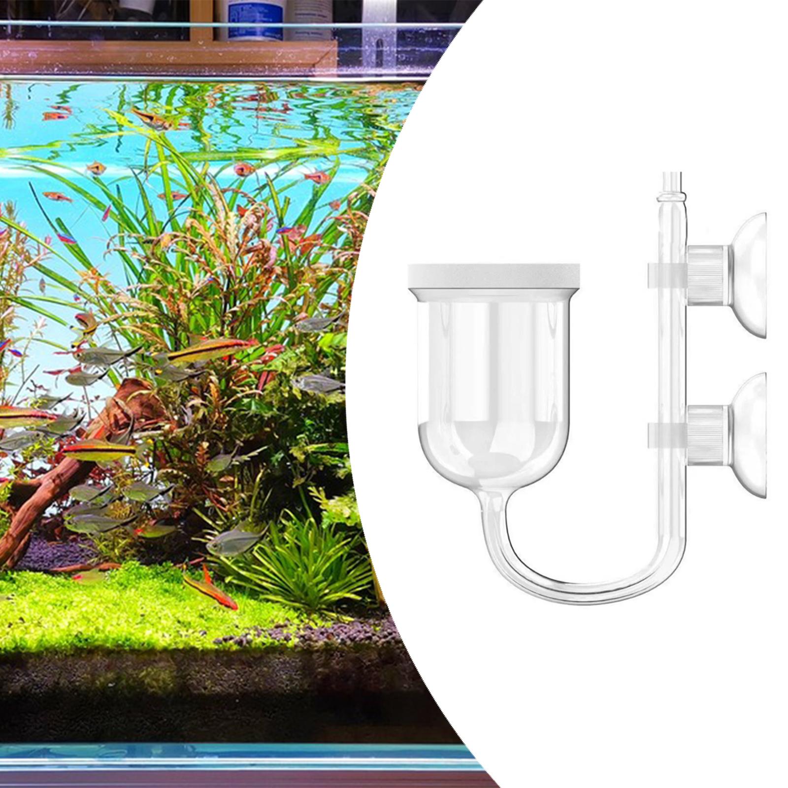 Penghitung Gelembung Terintegr - Planted Aquarium Care ulasan dan harga