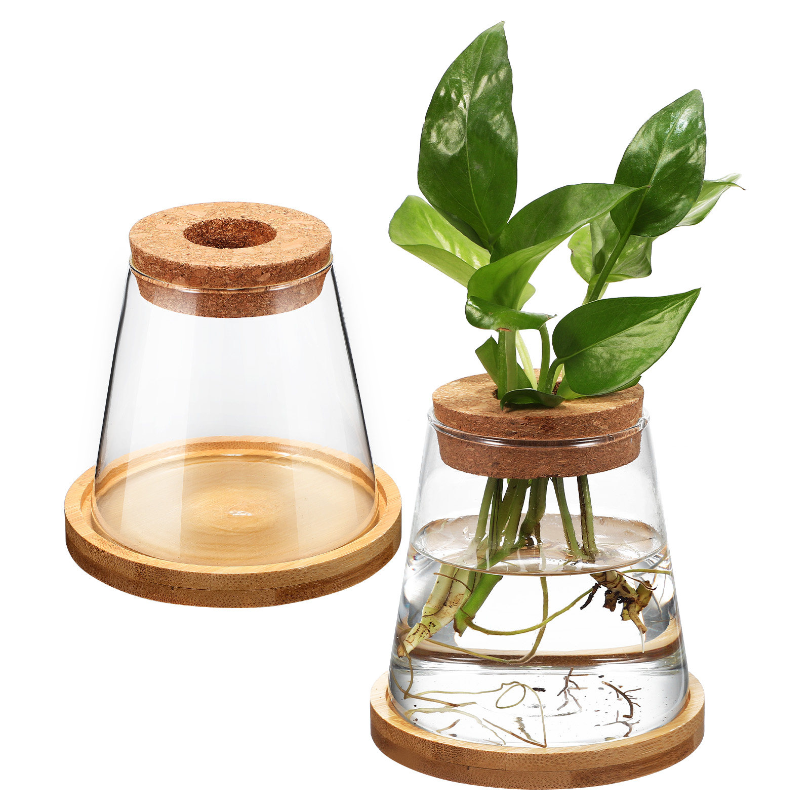 2 Buah Pot Tanaman Kaca, Wadah - Planted Aquarium Jar ulasan dan harga