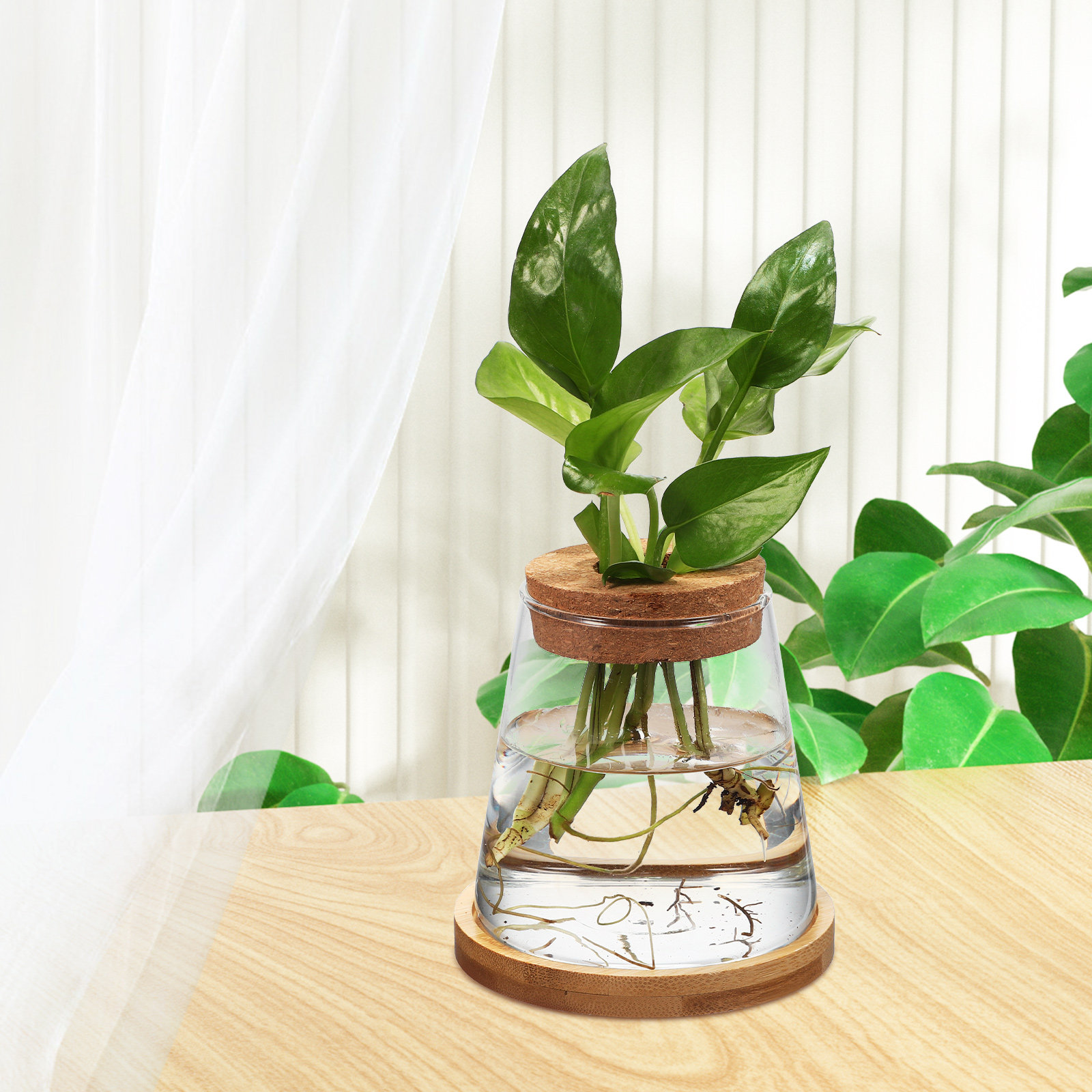 2 Buah Pot Tanaman Kaca, Wadah - Planted Aquarium Jar ulasan dan harga