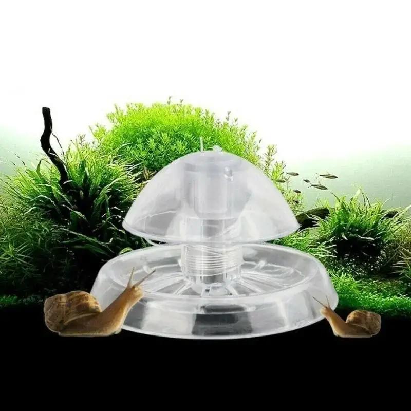 2026 Perangkap Siput Plastik T - Planted Aquarium Cleaning ulasan dan harga