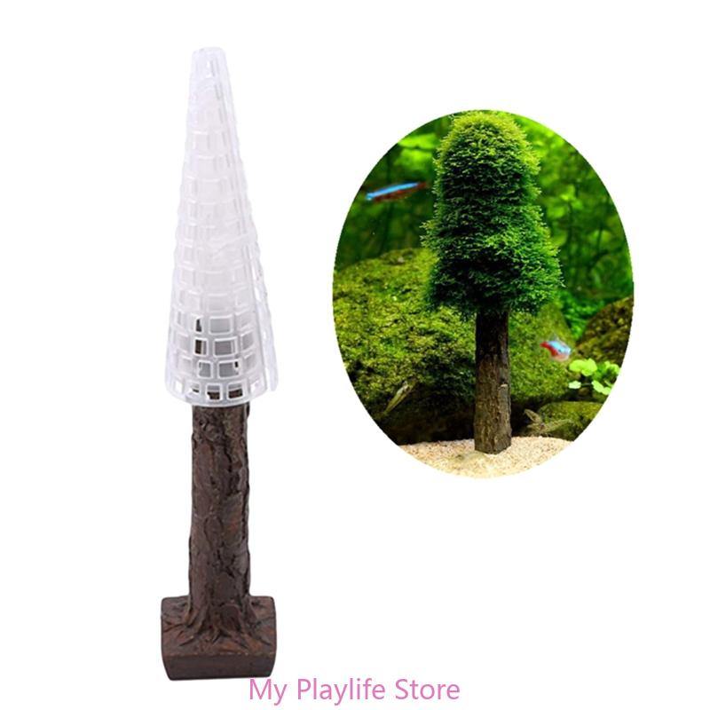 Akuarium lumut Dekorasi tangki - Planted Aquarium Mini ulasan dan harga