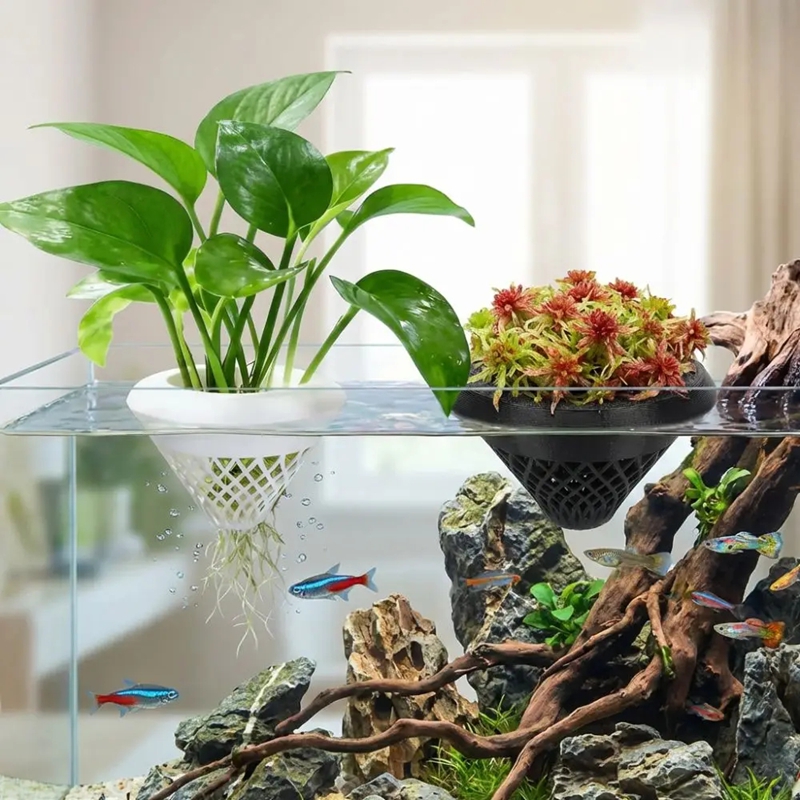Pot Tanaman Akuarium Mengamban - Planted Aquarium Jar ulasan dan harga