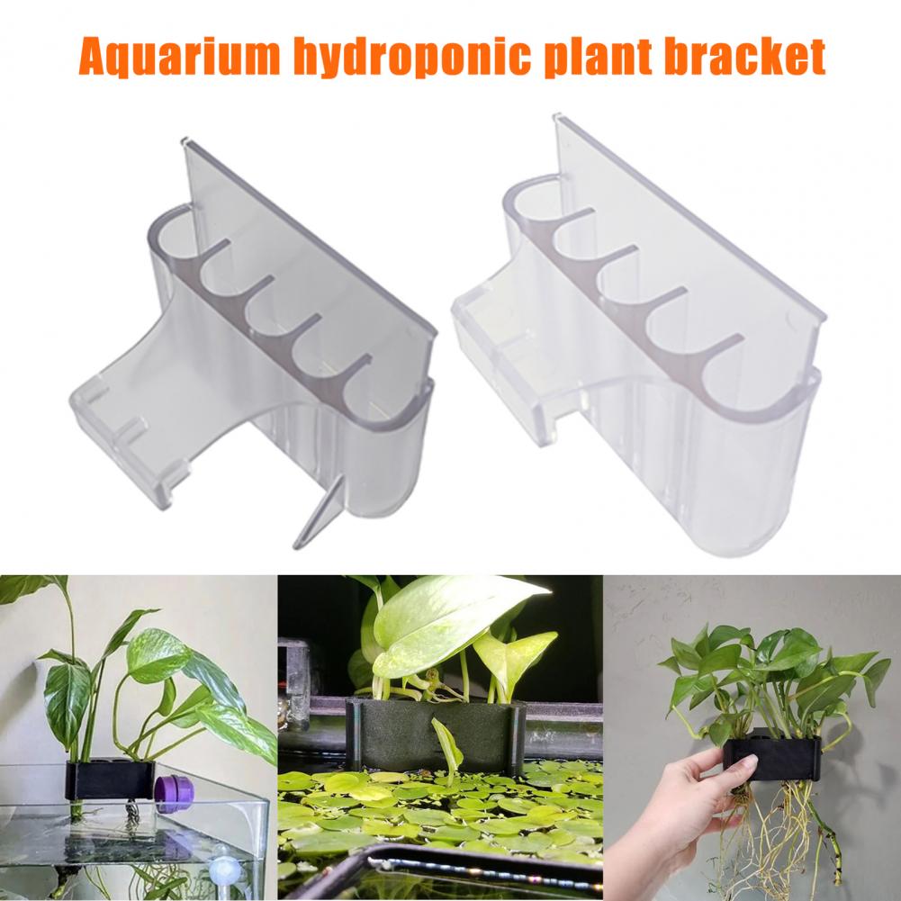 4.5/6.5Cm Tempat Tanaman Akuar - Planted Aquarium With Fish ulasan dan harga