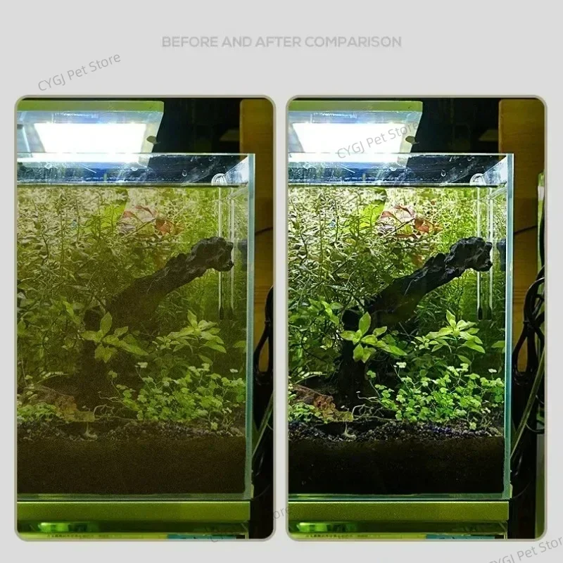 Alat Pembersih Tangki Ikan Pen - Planted Aquarium Cleaning ulasan dan harga