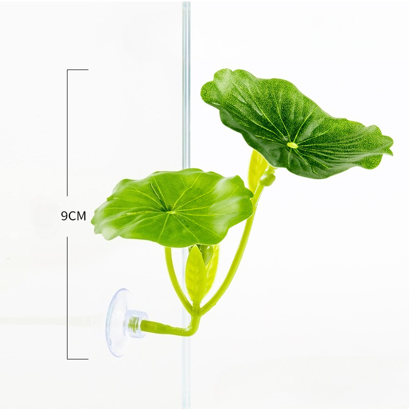 Tempat Tidur Daun Ikan Cupang  - Aquarium Plant Roots ulasan dan harga
