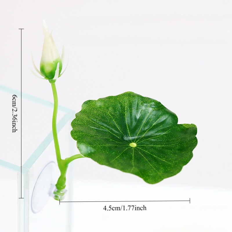 Tempat Tidur Daun Ikan Cupang  - Aquarium Plant Roots ulasan dan harga