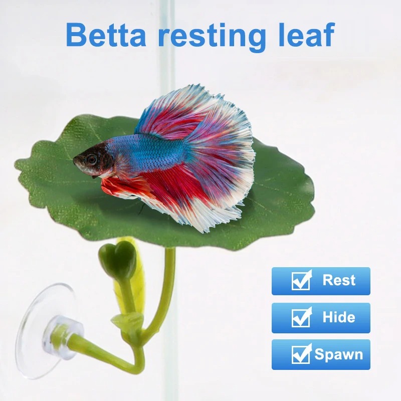 Tempat Tidur Daun Ikan Cupang  - Aquarium Plant Roots ulasan dan harga