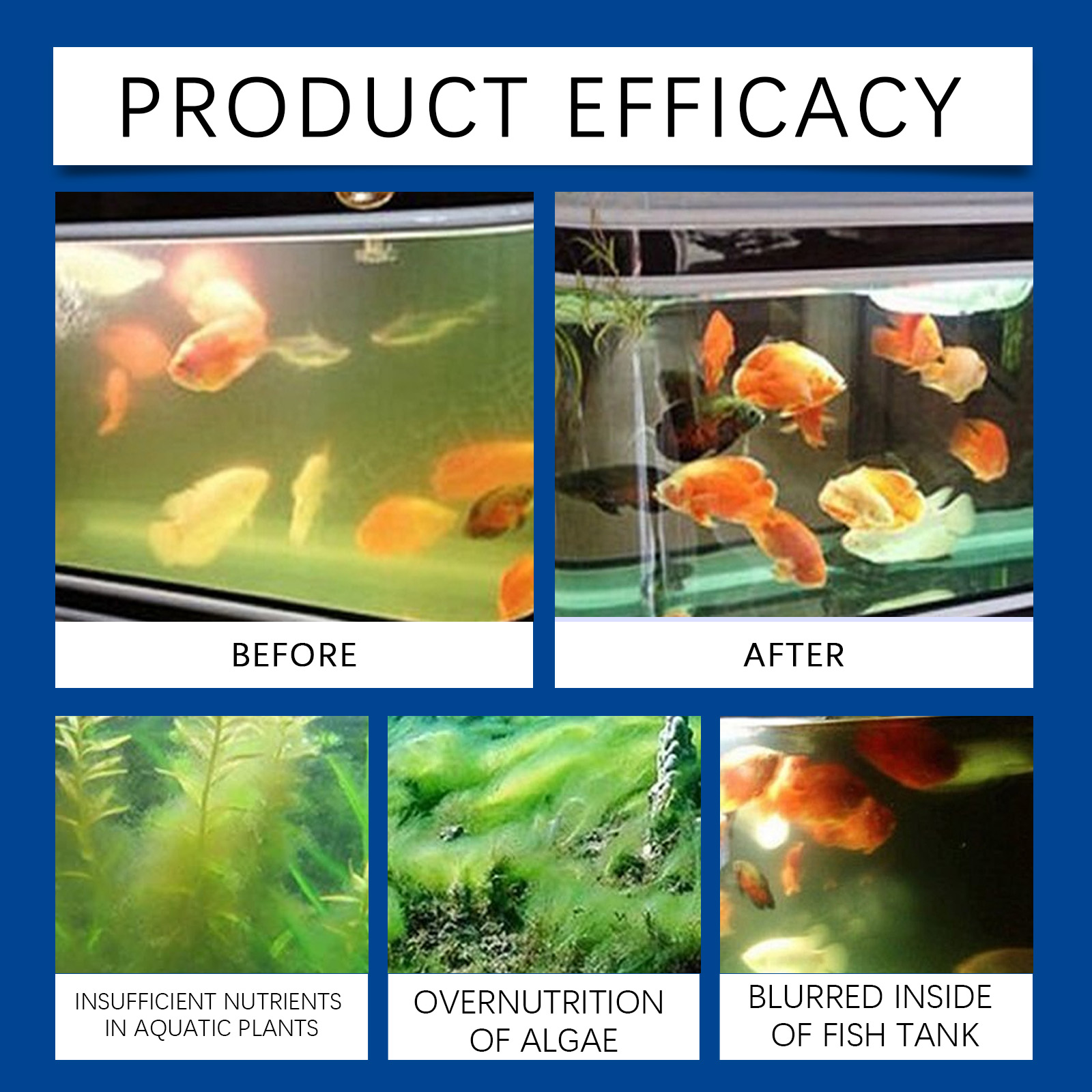 Klarifikasi Air Akuarium 100Ml - Planted Aquarium Cleaning ulasan dan harga