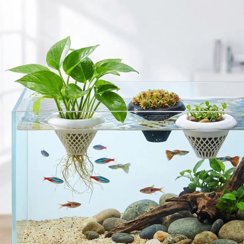 Pot Tanaman Akuarium Mengamban - Planted Aquarium Jar ulasan dan harga