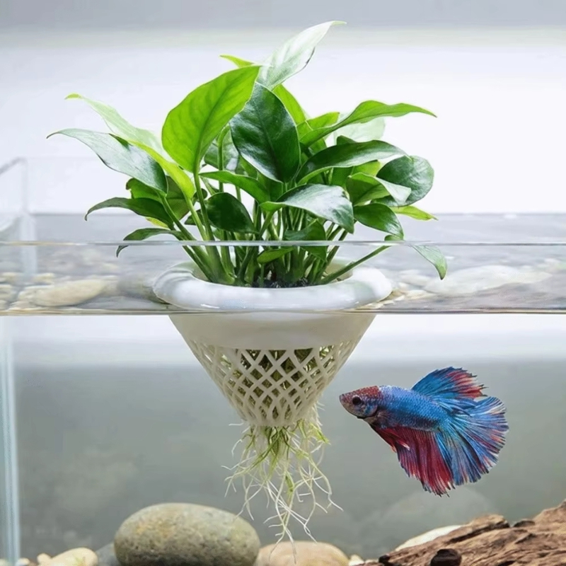 Pot Tanaman Akuarium Mengamban - Planted Aquarium Jar ulasan dan harga