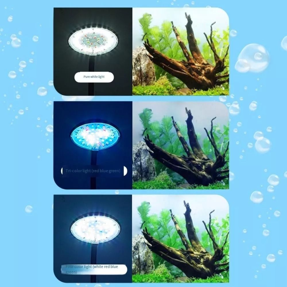Lampu Klip Tangki Ikan Mini Ba - Planted Aquarium Mini ulasan dan harga