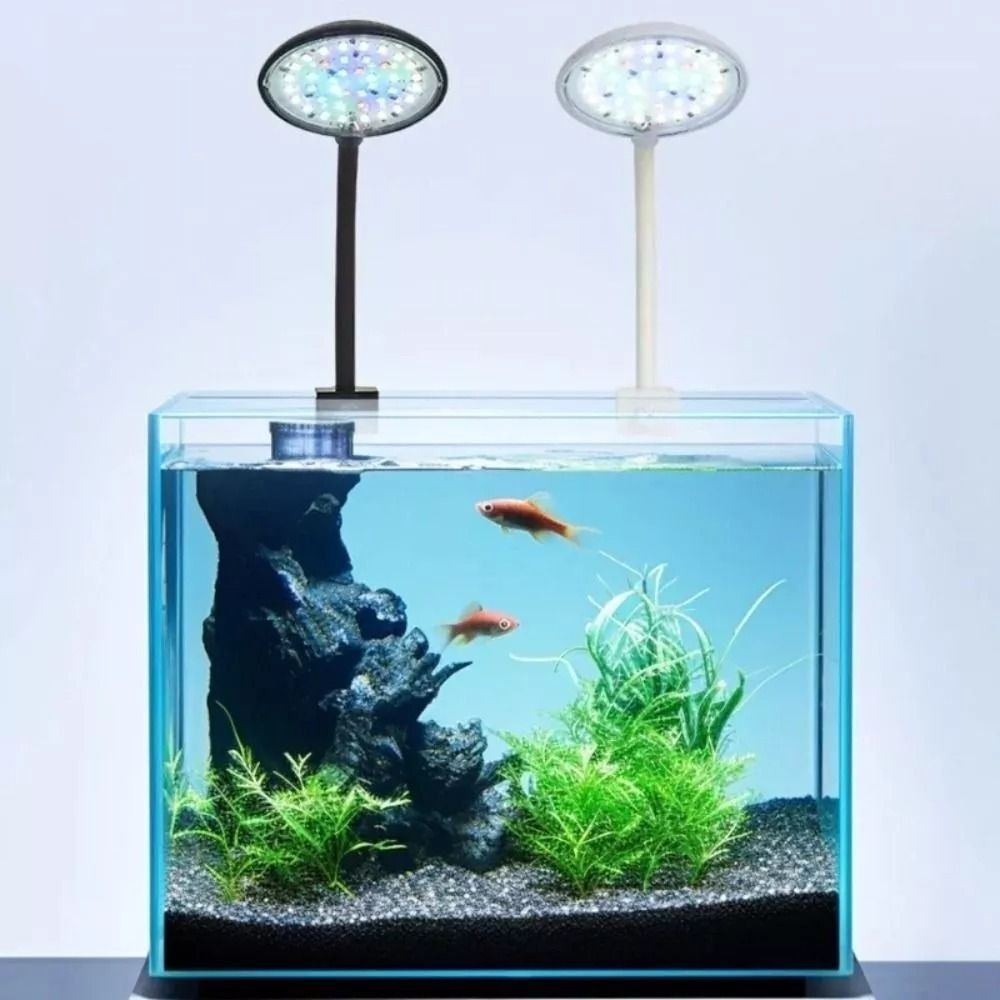 Lampu Klip Tangki Ikan Mini Ba - Planted Aquarium Mini ulasan dan harga