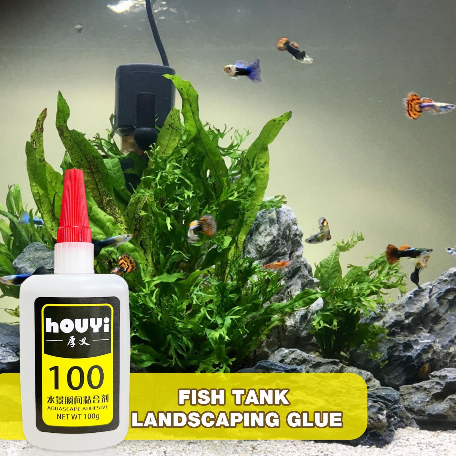 50/100g Lem Instan Bening untu - Aquarium Plant ulasan dan harga