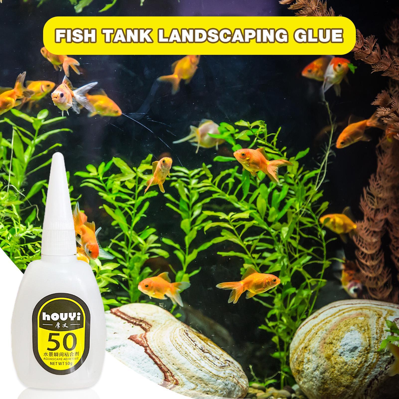 50/100g Lem Instan Bening untu - Aquarium Plant ulasan dan harga