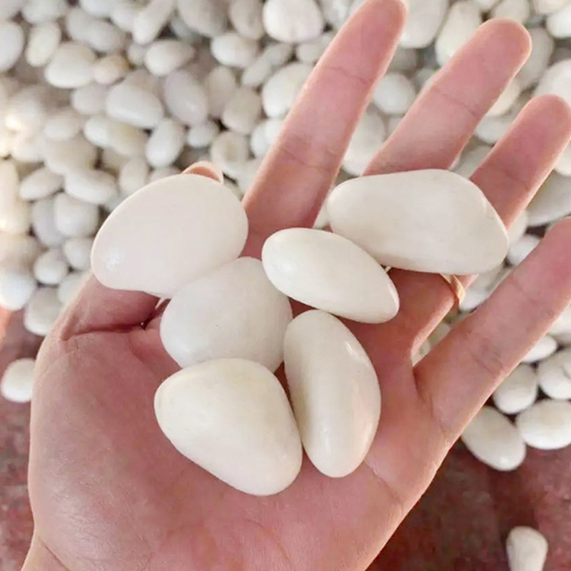 Batu Sungai Poles Putih Alami  - Aquarium Sand White ulasan dan harga