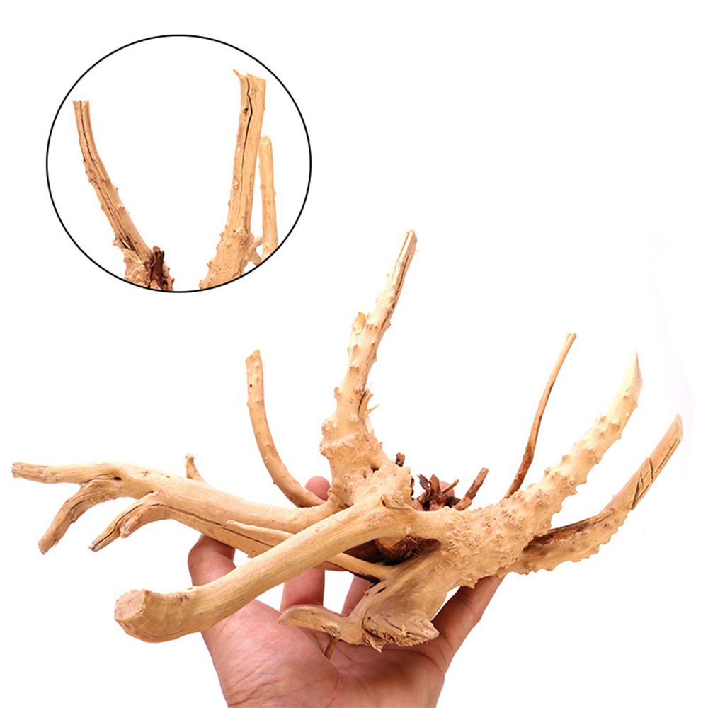 Kayu N1N Dekorasi Akuarium Lan - Aquarium Plant Roots ulasan dan harga