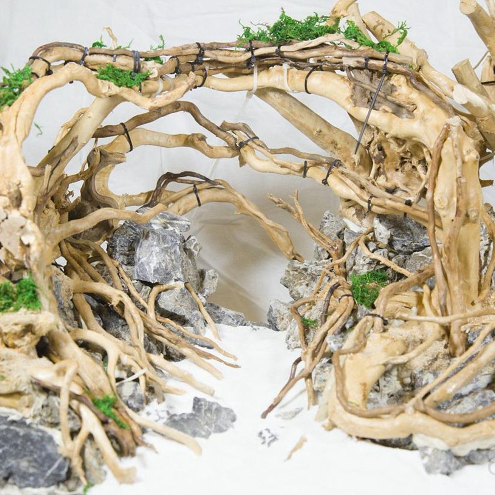 Kayu N1N Dekorasi Akuarium Lan - Aquarium Plant Roots ulasan dan harga