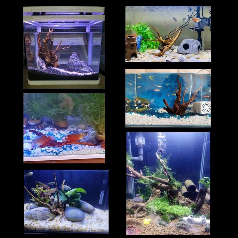 Pohon alami dekorasi akuarium  - Aquarium Plant Roots ulasan dan harga