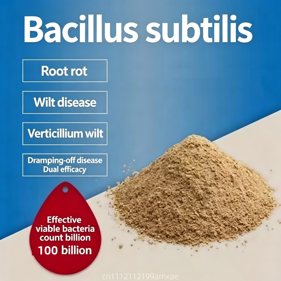 Bubuk Bacillus Subtilis Aktivi - Aquarium Plant Root Fertilizer ulasan dan harga
