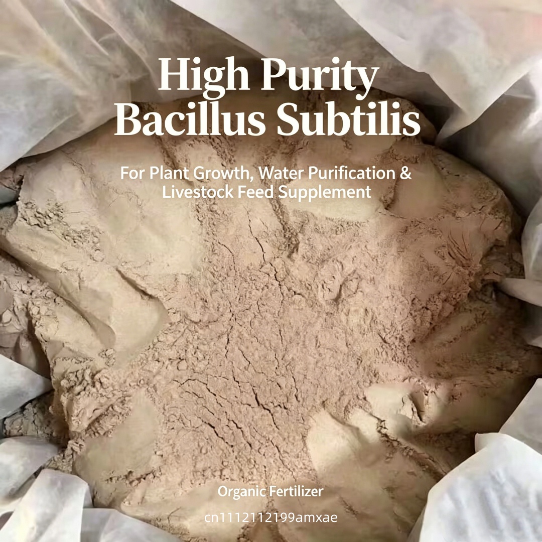 Bubuk Bacillus Subtilis Aktivi - Aquarium Plant Root Fertilizer ulasan dan harga