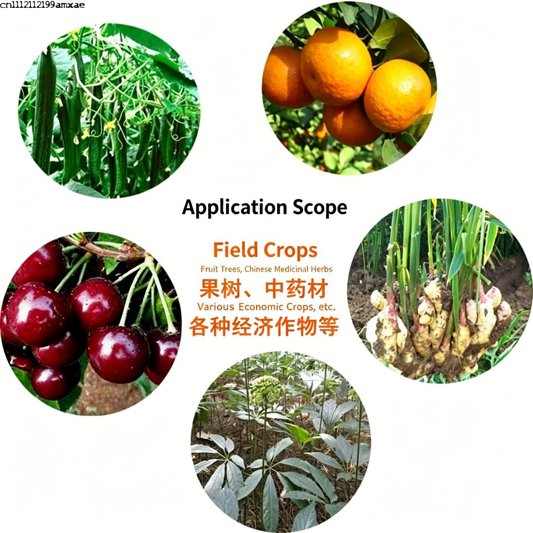 Bubuk Bacillus Subtilis Aktivi - Aquarium Plant Root Fertilizer ulasan dan harga