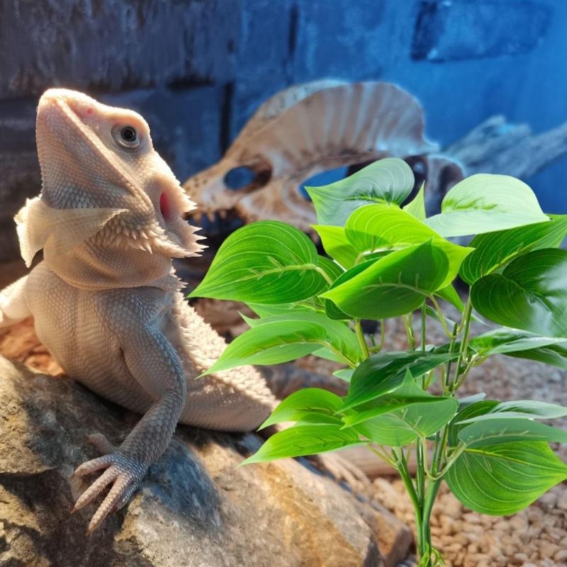Tanaman gantung buatan akuariu - Planted Aquarium With Fish ulasan dan harga