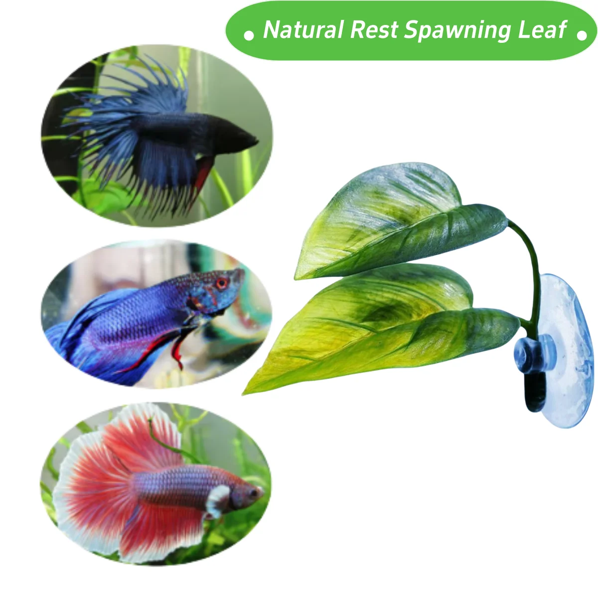 Dekorasi Akuarium Ikan Hias, T - Aquarium Plant Roots ulasan dan harga