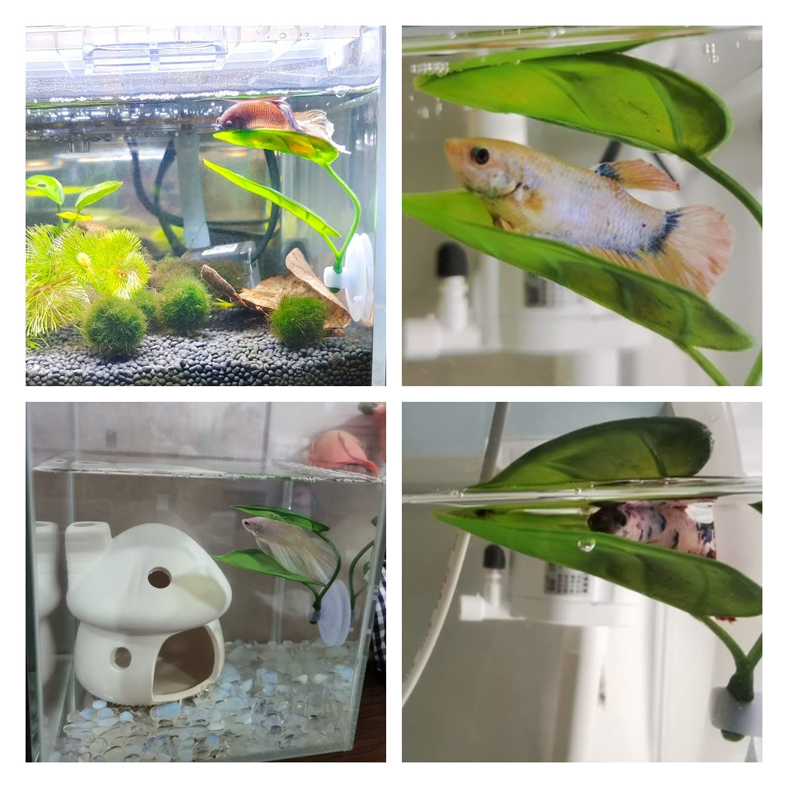 Dekorasi Akuarium Ikan Hias, T - Aquarium Plant Roots ulasan dan harga