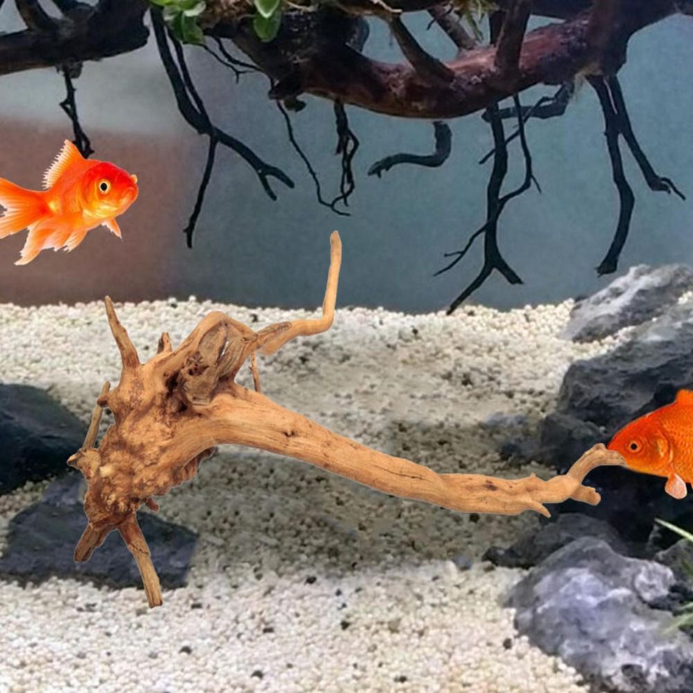 Kayu Apung Akuarium Besar 20-2 - Aquarium Plant Roots ulasan dan harga